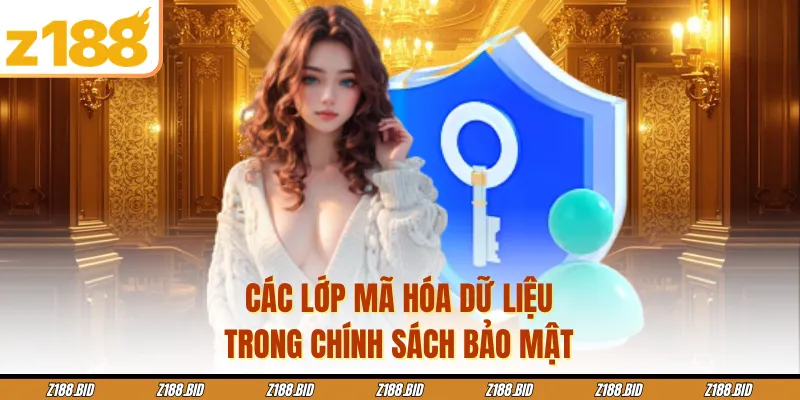 Các lớp mã hóa dữ liệu trong chính sách bảo mật